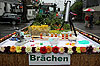 Bild 61 vergrößern